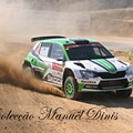 Rally de Portugal 2018  (452).JPG